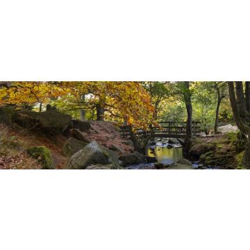 Lais Puzzle - Brücke im Padley Gorge Waldgebiet im Herbst, schöne Farben des Peak District, England, Panorama - 1.000 Teile