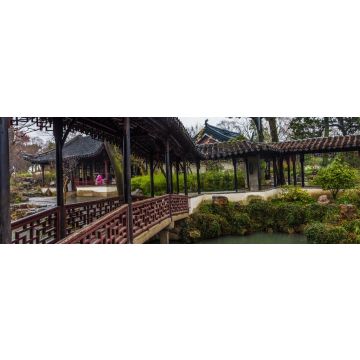 Lais Puzzle - Verwaltergarten von Suzhou, China, Panorama - 1.000 Teile