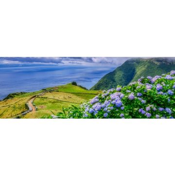 Lais Puzzle - Bild von schöner Landschaft mit Hortensien und einem Weg, der zum Atlantik auf den Azoren führt, Panorama - 1.000 Teile