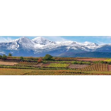 Lais Puzzle - Weinberge mit San Lorenzo Berg als Hintergrund, La Rioja, Spanien, Panorama - 1.000 Teile
