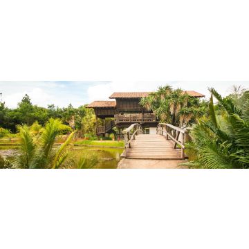 Lais Puzzle - Botanischer Garten in Brasilia, Brasilien, Panorama - 1.000 Teile