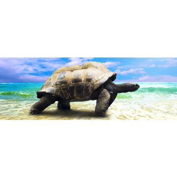 Lais Puzzle - große Schildkröte am Strand, Panorama - 1.000 Teile