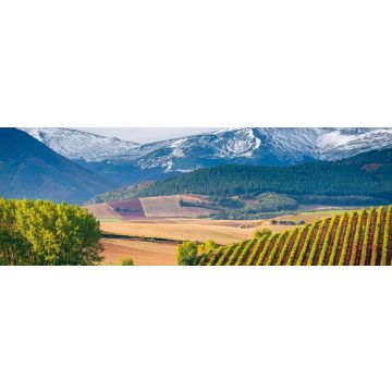 Lais Puzzle - Weinberge mit San Lorenzo Berg als Hintergrund, La Rioja, Spanien, Panorama - 1.000 Teile