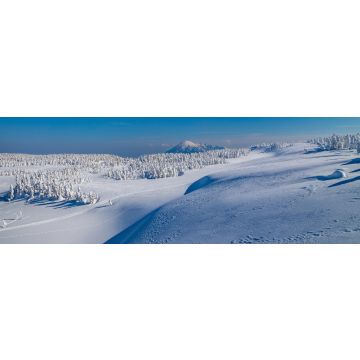 Lais Puzzle - Towada Hachimantai National Park, Japan, Panorama - 1.000 Teile