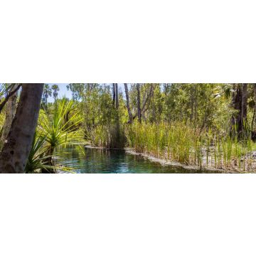 Lais Puzzle - Mataranka Hot Springs im Waterhouse River, Mataranka, Northern Territory, Australien, Panorama - 1.000 Teile