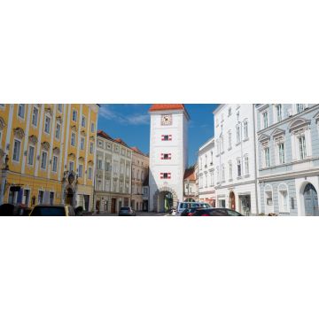 Lais Puzzle - Wels Oberösterreich, Panorama - 1.000 Teile