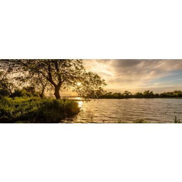 Lais Puzzle - Baum am Ufer des Tejo (Tagus) in Cartaxo, Santarem, Portugal, Panorama - 1.000 Teile