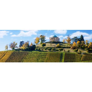 Lais Puzzle - Stuttgart Deutschland Landschaftsansicht des Mausoleums und der Weinberge von Rotenberg, Panorama - 1.000 Teile