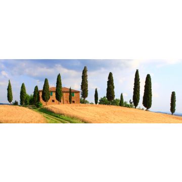 Lais Puzzle - Toskana Landschaft Zypressen, Panorama - 1.000 Teile