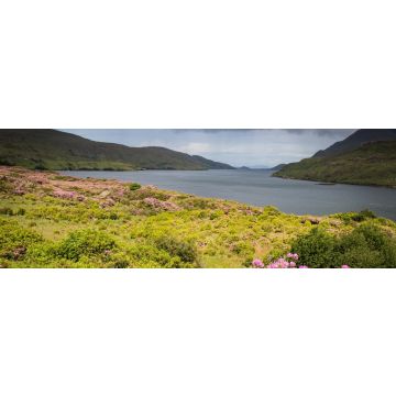 Lais Puzzle - Killary Harbour, Irland, Panorama - 1.000 Teile