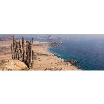 Lais Puzzle - Küste des Pan de Azucar Nationalparks in Chile. Atacama Wüstenküste und Kaktus, Panorama - 1.000 Teile