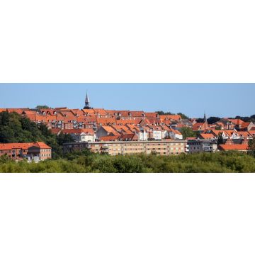 Lais Puzzle - Rotes Dach in der Stadt Randers Dänemark, Panorama - 1.000 Teile
