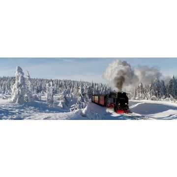 Lais Puzzle - Die Brockenbahn mit der Lok 99 7241-5 der Harzer-Schmalspurbahne, Panorama - 1.000 Teile
