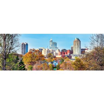 Lais Puzzle - Raleigh, North Carolina, Panorama - 1.000 Teile