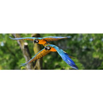 Lais Puzzle - Guacamayo, Brasilien, Panorama - 1.000 Teile