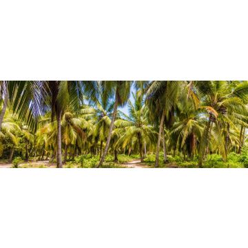Lais Puzzle - Ein Blick im Tayrona-Nationalpark in Kolumbien, Panorama - 1.000 Teile