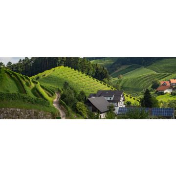 Lais Puzzle - Ein Spaziergang durch die Gemeinde Durbach im Ortenaukreis, Deutschland, Panorama - 1.000 Teile