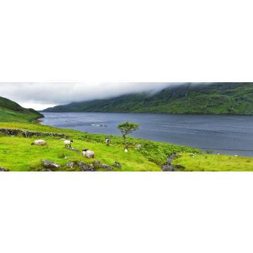Lais Puzzle - Killary Harbour, Irland, Panorama - 1.000 Teile