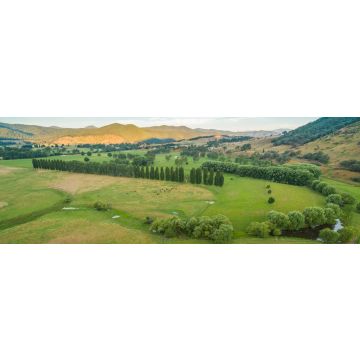 Lais Puzzle - Luftbildlandschaft von Wiesen und Weiden des Mitta Mitta Valley in der Nähe von Eskdale, Victoria, Australien bei Sonnenuntergang, Panorama - 1.000 Teile
