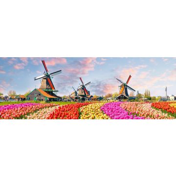 Lais Puzzle - Landschaft mit Tulpen in Zaanse Schans, Niederlande, Europa, Panorama - 1.000 Teile