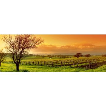 Lais Puzzle - Weinbergslandschaft, Panorama - 1.000 Teile