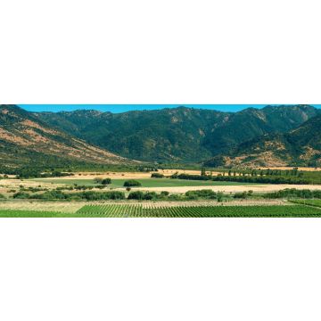 Lais Puzzle - Colchagua Tal, Chile, Panorama - 1.000 Teile