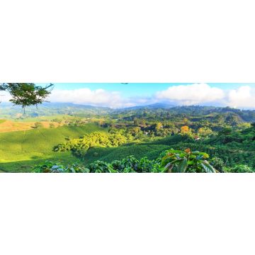 Lais Puzzle - Blick auf eine Kaffeeplantage bei Manizales, Kolumbien, Panorama - 1.000 Teile
