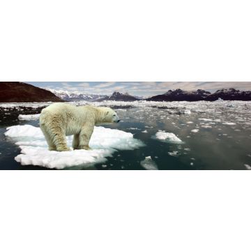 Lais Puzzle - Eisbär auf Scholle, Panorama - 1.000 Teile