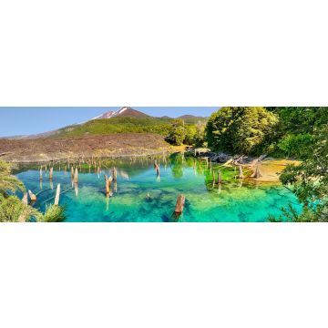 Lais Puzzle - Lago Arcoiris bei Conguillio N.P. (Chile), Panorama - 1.000 Teile