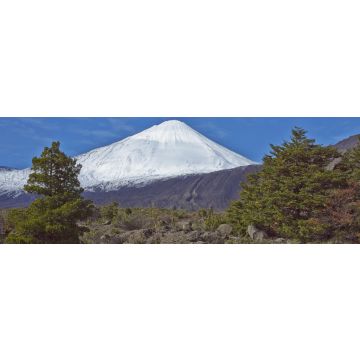 Lais Puzzle - Der schneebedeckte Gipfel des Vulkans Antuco (2.979 m) erhebt sich über einem bewaldeten Tal im Nationalpark Laguna de Laja in der Bio-Bio-Region von Chile, Panorama - 1.000 Teile