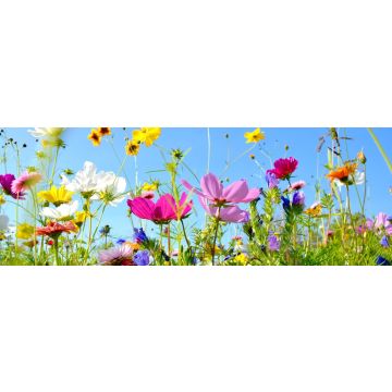 Lais Puzzle - Blumen, Panorama - 1.000 Teile