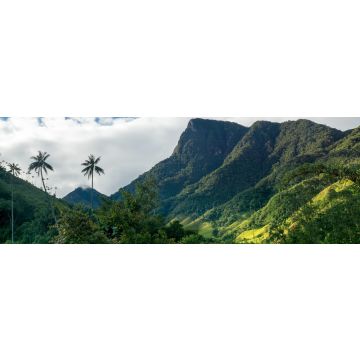 Lais Puzzle - Quindio-Wachspalmen im Valle de Cocora,nahe Salente, Zona Cafetera, Kolumbien, Panorama - 1.000 Teile