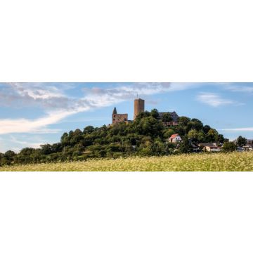Lais Puzzle - Burg Gleiberg mit Sommerwiese, Panorama - 1.000 Teile
