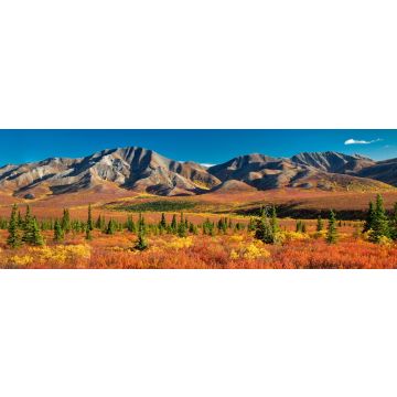Lais Puzzle - Denali Nationalpark Alaska, Panorama - 1.000 Teile