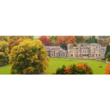 Lais Puzzle - Zurück in die Vergangenheit: unter einem grauen Himmel an einem herrlichen Herbstmorgen, allein in einem Park, der nur von Rehen, Pferden und Kühen begleitet wird, Lough Fea, Carrickmacross, County Monaghan, Irland, Panorama - 1.000 Teile