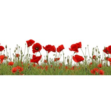 Lais Puzzle - Mohnblumen, Panorama - 1.000 Teile