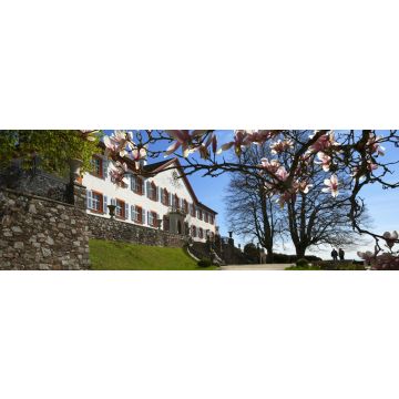 Lais Puzzle - Schloss Bürgeln bei Schliengen im Markgräflerland, Panorama - 1.000 Teile