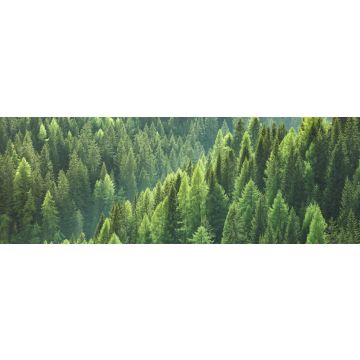 Lais Puzzle - Gesunde grüne Bäume in einem Wald aus alten Fichten, Tannen und Kiefern, Panorama - 1.000 Teile