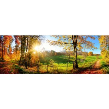 Lais Puzzle - Waldlandschaft im Herbst mit Sonnenstrahlen, Panorama - 1.000 Teile