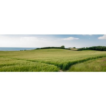 Lais Puzzle - Die Aussicht von Vejrhoej - Odsherred, Panorama - 1.000 Teile