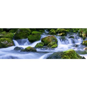 Lais Puzzle - Waldbach, Panorama - 1.000 Teile