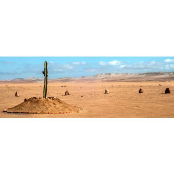 Lais Puzzle - Die einzige Pflanze über viele Kilometer in der Wüstenregion von Tacna, Peru, Panorama - 1.000 Teile