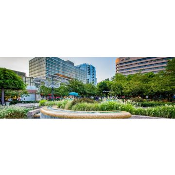 Lais Puzzle - Arlington, Virginia, Panorama - 1.000 Teile