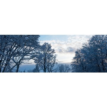 Lais Puzzle - Winter in Skövde, Sweden, Panorama - 1.000 Teile
