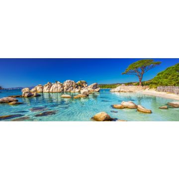 Lais Puzzle - Pinienbaum am Strand von Palombaggia, Korsika, Frankreich, Panorama - 1.000 Teile