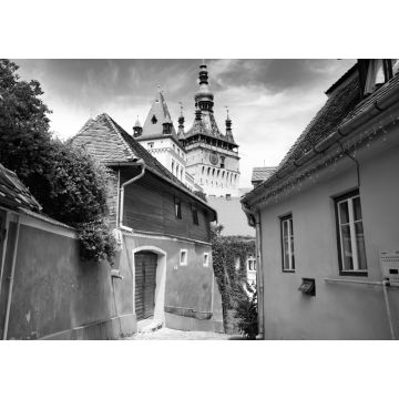Lais Puzzle - Schöne bunte Straße in Sighisoara im typischen traditionellen Stil. Sighisoara ist der Ort, an dem Dracula geboren wurde in schwarz weiß - 1.000 Teile