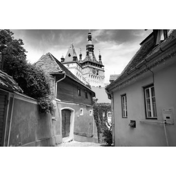 Lais Puzzle - Schöne bunte Straße in Sighisoara im typischen traditionellen Stil. Sighisoara ist der Ort, an dem Dracula geboren wurde in schwarz weiß - 2.000 Teile