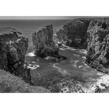 Lais Puzzle - Blick über eine Bucht mit einem vorgelagerten Felsen, der von brütenden Raverbill-Möwen bevölkert wird, an der Küste von Pembrokeshire, Wales, im Sommer in schwarz weiß - 1.000 Teile
