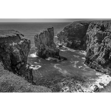 Lais Puzzle - Blick über eine Bucht mit einem vorgelagerten Felsen, der von brütenden Raverbill-Möwen bevölkert wird, an der Küste von Pembrokeshire, Wales, im Sommer in schwarz weiß - 2.000 Teile