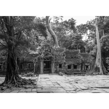 Lais Puzzle - Ta Prohm-Tempel in Angkor Kambodscha Asien in schwarz weiß - 1.000 Teile